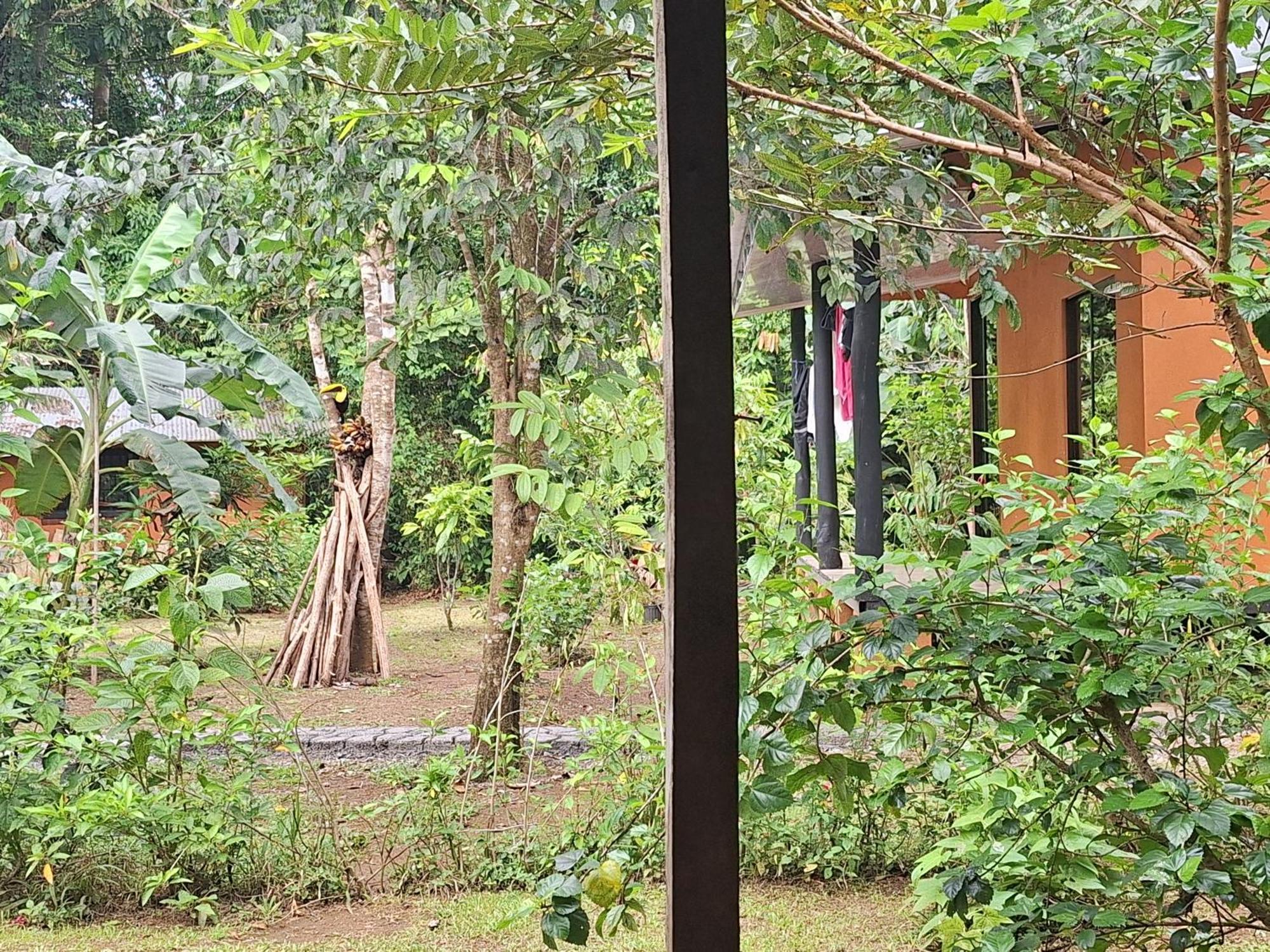 Cabinas Corcovado Green Parrot, Los Planes Drake Drakes Bay Exterior foto
